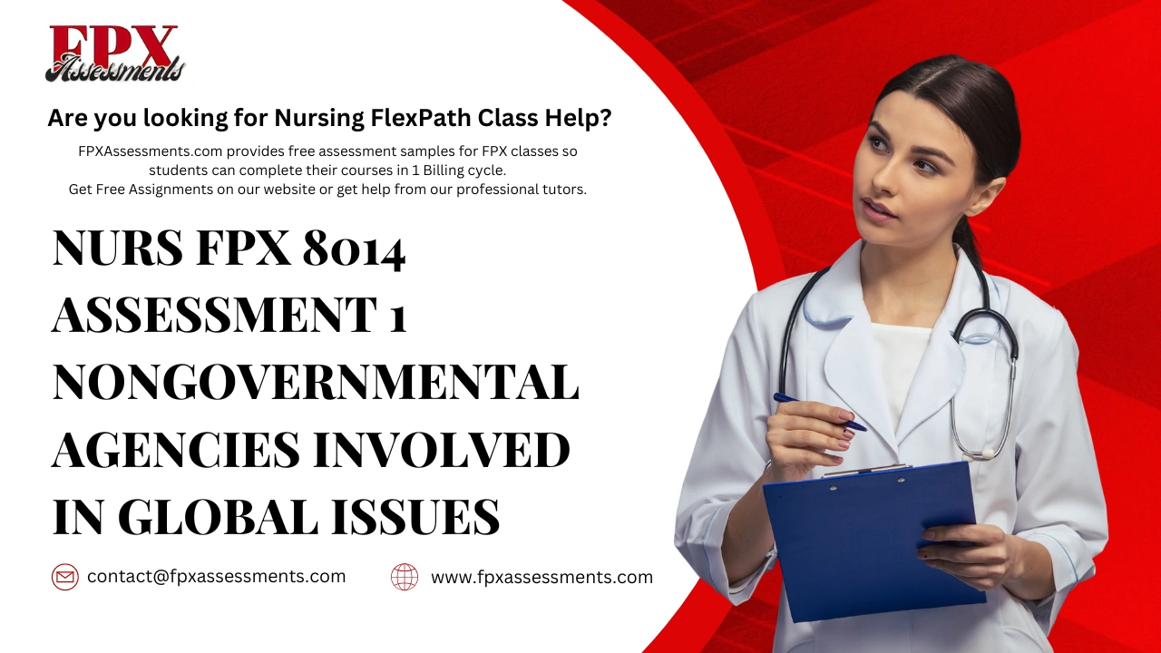 NURS FPX 8014 Assessment 1 Nongovernmental Agencies Involved in Global Issues